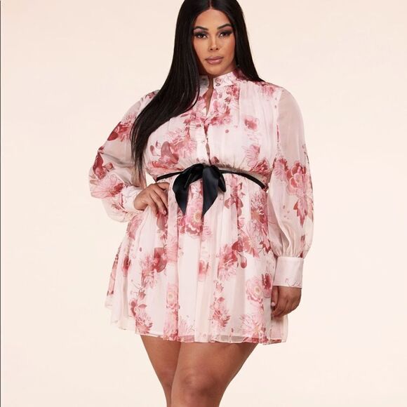 ❤️BRAND NEW L’atise by Amy Plus Size Berry & Cream Mini Dress - Picture 2 of 10